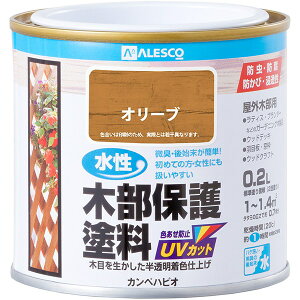 h ؕیh 0.2L I[u JynsI yL  h yL h ؍ EbhfbL h UVJbg h hJr ؕ ی