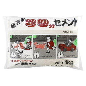 Zg 30Zg zCg 1kg ×10 ƒ뉻w Zg C ^ K  ubN ԒdubN  x_ 肷 