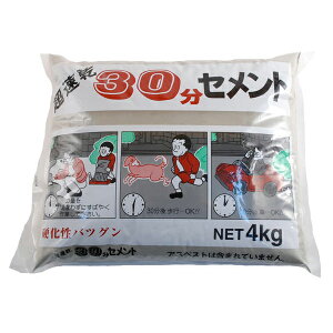 Zg 30Zg O[ 4kg ×6 ƒ뉻w Zg C ^ K  ubN ԒdubN  x_ 肷 