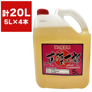  ͂ꑾY 5L×4{ VZC   Ɩp  20L OzT[g  t  t   ͏ ͂ꑾY 