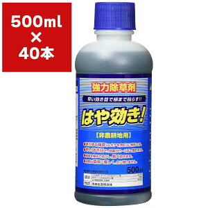  ͂ 500ml×40{ VZC   Ɩp  OzT[g  t  t  ͂₫  ͏ t  t