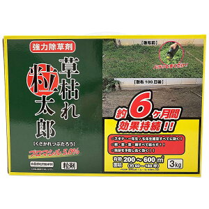  ͂ꗱY u}V5 3kg VZC     u}V  ͏ Gh G쏜 G΍ G \h G ΍