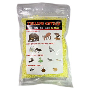 YELLOW ATTACK (CG[A^bN) 400g GA[CY  Qb  N}  CmVV  L悯 N} ΍ Qb ΍ CmVV ΍ M2