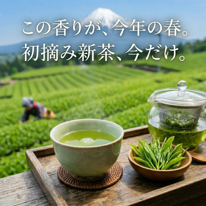 楽天市場】静岡新茶 2026年 初摘み 深蒸し茶 望 特上 かぶせ茶 静岡茶 