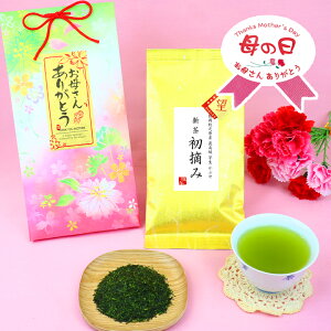 xĂ߂ˁy|Cg15{z ̓ Mtg j 2025N ] uh É qVY [ E ̓ 낱 Ƃ100gpbN v[g a  { [ 