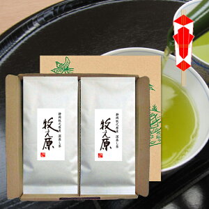 [ Ղ 1kg I qV 100g 10{ Mtg Zbg j 2025   Β [ނ  { Y N ÉY Yt  Ε N