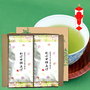 深蒸し茶 たっぷり 1kg かぶせ仕上げ 駿河路 100g 10本 セット お茶 緑茶 深むし茶 煎茶 日本茶 国産 健康茶 静岡産 国産茶葉 送料無料 お歳暮 お年賀 一番茶