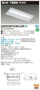 �y�@�l�l���菤�i�z�y���������z���� TENQOO LEKR230163N-LD9 ���� 20�` ���ʊJ�� W300 �����F ���� �yLEER23002LD9+LEEM20163N01�z