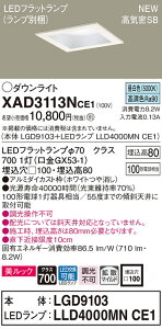 �y�@�l�l����z�p�i�\�j�b�N XAD3113NCE1�@LED�_�E�����C�g ��������100 �����F ��^8H ���C��SB �g�U�����b�N�y�{�́zLGD9103�yLED�����v�zLLD4000MN CE1