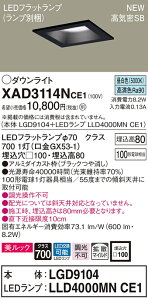�y�@�l�l����z�p�i�\�j�b�N XAD3114NCE1�@LED�_�E�����C�g ��������100 �����F ��^8H ���C��SB �g�U�����b�N�y�{�́zLGD9104�yLED�����v�zLLD4000MN CE1