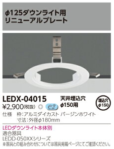 �y�@�l�l����z���Ł@LEDX-04015�@��125�����_�E�����C�g�p���j���A���v���[�g�@�V�䖄������150�p