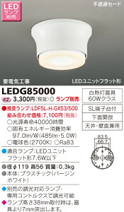 �y�@�l�l����z���Ł@LED���`�V�[�����O���C�g�@�i�����v�ʔ��j�@LEDG85000