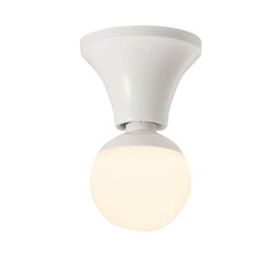 �y�@�l�l����z�p�i�\�j�b�N�@�V�䒼�t�^�E�ǒ��t�^LED�i�d���F�j�@�V�[�����O���C�gNNN51800�y�d���ʔ��iE26�j�z