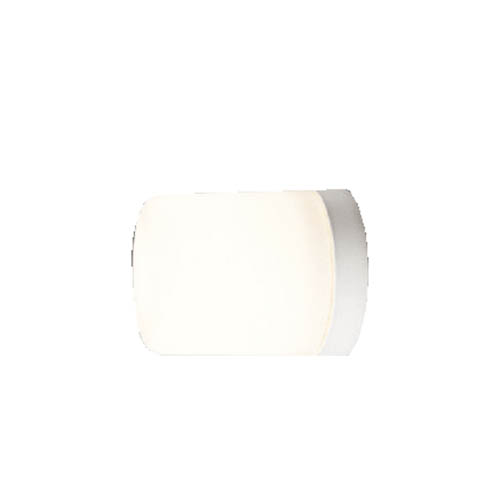 東芝LED浴室灯 期間限定60％OFF! ランプ別売 電球色 傾斜天井45度まで取付可 天井 お見舞い 壁面兼用LEDB88920 屋外