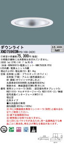�y�@�l�l����z�p�i�\�j�b�N�@XND7596SW RY9�@LED�_�E�����C�g ��������250 �r�[���p45�x �L�p ���� FHT57�`3������ ���F�y�󒍕i�z