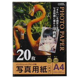 I[d@ PA-PRC-A4/20 ʐ^p  A4 20 [i]01-3255 PAPRCA420