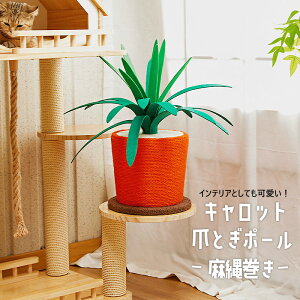܂Ƃ|[ ɂ񂶂^ ꊪ u 50.5cm ؐ yt LbgXNb`[  Lpi ybgpi ΉyDH-34z