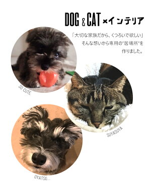 楽天市場 送料無料 ペット用 合成皮革 オシャレ 小型ソファー イス インテリア モダン 犬 猫 動物お洒落 小型 ソファー ペット ペットソファー 黒 茶 E Do Net エードネット事業部