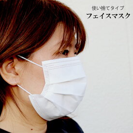 マスク 不織布 マスク 50枚 【箱無し】【E】 感染予防 感染症対策 日用品 衛生 訳あり