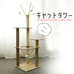 Lbg^[ ؐ FD ^ X L^[ u ܂Ƃ ^[   ^s R 135cm Vя ZL ^L ^ L VjAL qL ybg yDH-28-4z