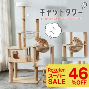 _yVX[p[SALE^@Lbg^[ ؐ FD ^ X L^[ u ܂Ƃ ^[   ^s R 165cm B Vя ZL ^L ^ L V