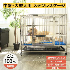 ybg  XeX P[W  pP[W ^ t  Q[W ܂肽 LX^[ ړ ybgpi  kCAꌧA yWz