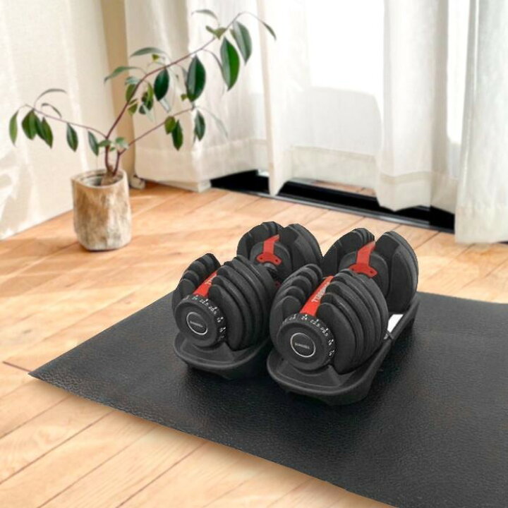 楽天市場】エクササイズマット トレーニングマット 筋トレマット 