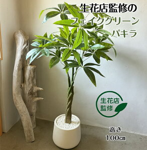 pL lHϗtA tFCNO[ ϗtA tFCN ^  100cm CeA  ItBX   MtgyԓXďCz  kCAꌧA yW