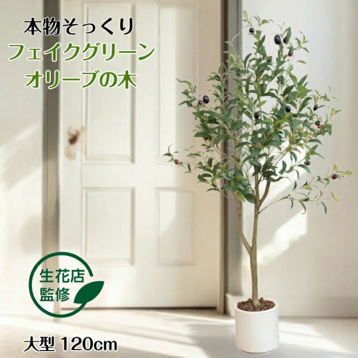 楽天市場】オリーブ 人工観葉植物 フェイクグリーン 観葉植物 フェイク 