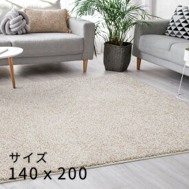 ラグ 洗える 約140×200cm 無地 ホットカーペットOK 抗ウイルス 抗菌 抗アレルゲン 消臭 防ダニ ペット お子様 プレーベル ジャスパーPLUS 日本製