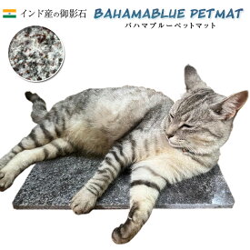 インドの御影石のペットマット！40cm×40cm【角部R加工無料】気持ちがいいペットマット（ペットベッド）！バハマブルー