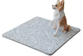 気持ちがいいペットマット！40cm×40cmG623表面ザラザラ仕上げ