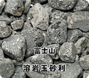 y1LzyxmRzxmRnʍg낢I