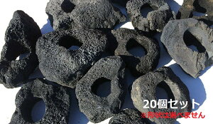 20ZbgIy1750~Izn΃TCYӖ15`20Z`i6cmjnłłt[|bg(n┫)iANAEj̃CAEgɁy1T[rXIzy