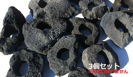 3個セット！【1個＝1334円！】黒い溶岩石サイズ長辺約15〜20センチ（6cm穴あき）溶岩でできたフラワーポット(溶岩鉢)水槽（アクアリウム）のレイアウトに♪【もう1個サービス中！】【送料無料】※形状お任せになります。