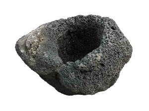 y1zy4ȏ̍wőz~͂K[fjOɃIXXłubNJn┫nŐ삵n┫łB