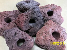 【5個セット＋1】赤い溶岩石　（穴あき）　溶岩でできたフラワーポット(溶岩鉢)【もう1個サービス中】※形状お任せになります　水槽　アクアリウム　レイアウトストーン