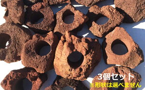 3ZbgIy11334~IzԂn΃TCYӖ15`20Z`i6cmjnłłt[|bg(n┫)iANAEj̃CAEgɁy1T[rXIzy