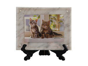 y΃IWiz@y100ZbgzC^Ȃ嗝΃rARJ̃tHgt[CeAɃIXXłIyOɔ[̊mF肢܂z