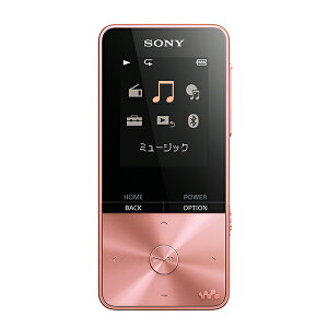 SONY \j[ NW-S313 PIC CgsN EH[N} SV[Y 4GB { yv[[ yvC[ yz y1Nۏ؁z