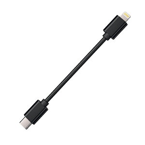 Cayin CS-L2CP[u iLightning to USB-Cj JC I[fBIP[u USB CgjOP[u USB Type-C iOS OTGP[u