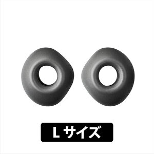 y11/1聚Iōő100%|CgobNI(vGg[)zaudio-technica AT-ER500 (LTCY 2yA) I[fBIeNjJ C[s[X C[`bv Cs I[eN