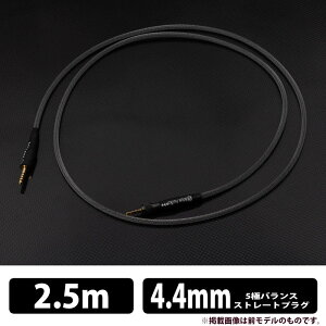 (������) Brise Audio BSHP for MV1 V2 5�Ƀ�4.4mm �v���O 2.5m BSHPMV1V2-25-544 �w�b�h�z���P�[�u�� ���@�\�����x������ Quad Spiral�\�� ���ꍂ�@�\���� �u���X�I�[�f�B�I�y�O���[�vH�z