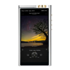 (5��23�������\��) Cayin N8iii�ySPK-A007�z�f�W�^���I�[�f�B�I�v���[���[ DAP �t���O�V�b�v �t���o�����X4ch�f�B�X�N���[�g�A���v���� AKM AK4191EQ×2 AK4499EXEQ×4 �n�C���] Bluetooth�Ή� LDAC �J�C��