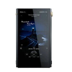 Cayin N6iii/C201 fW^I[fBIv[[ DAP vC[ I[fBIE}U[{[h DAC oXڑ AhCh JC