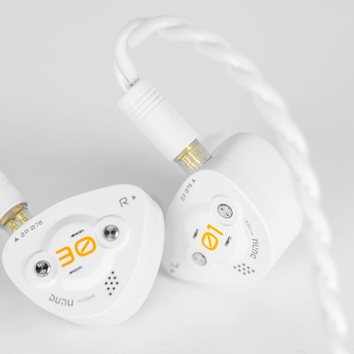 DUNU-TOPSOUND DaVinci 有線イヤホン カナル型 リケーブル対応 耳掛け 