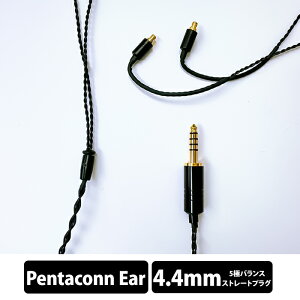 e���C���z���E���{ Obsidian GeN2 Pentaconn ear-4.4mm (�C���[���[�v�d�l) 120cm �C���z���P�[�u�� ���P�[�u�� �C���z���A�N�Z�T�� �o�����X�ڑ� �y�O���[�vC�z