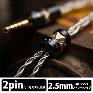 (������ �[��:11.5����) ELETECH Cassiel 2pin to 2.5mm Balanced �C���z���P�[�u�� ���P�[�u�� (��������)