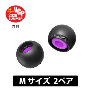�yVGP2026 SUMMER��܁zELETECH BAROQUE M 2�y�A �C���[�s�[�X �C���[�`�b�v �C���s �t�B�b�g ������ �o���b�N �G���e�b�N