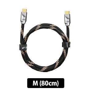 y10/1聚Iōő100%|CgobNI(vGg[)zFIIO LT-TC5M I[fBIP[u USBP[u OTGP[u Type-C ^CvC USB-C tB[I